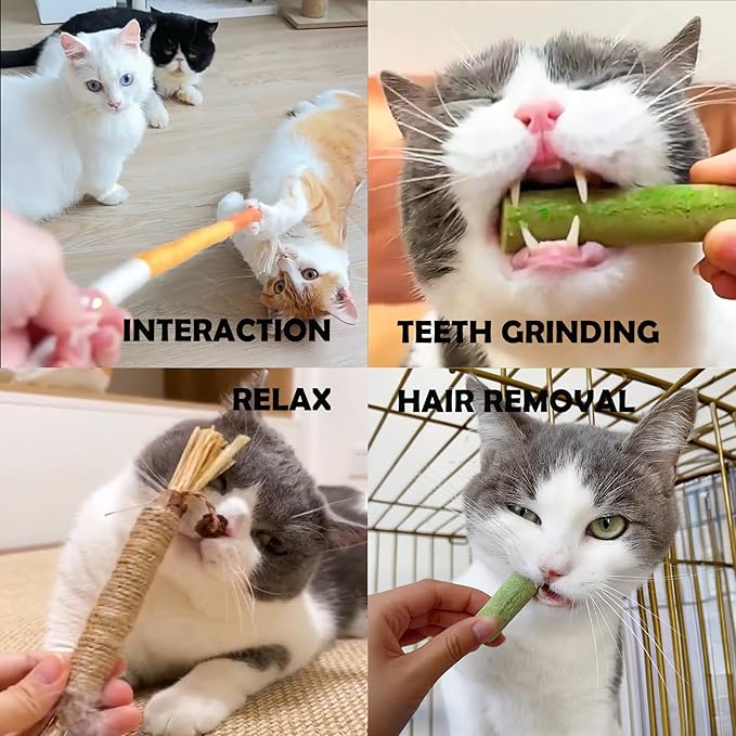 Cat Toys 6Pack Kitten Grass Treat Stick Catnip Toy with Silvervine for Indoor Kitten Toys Kitten Grass Sticks for Teeth Cleaning Cat Snack for Kitty Dental Care