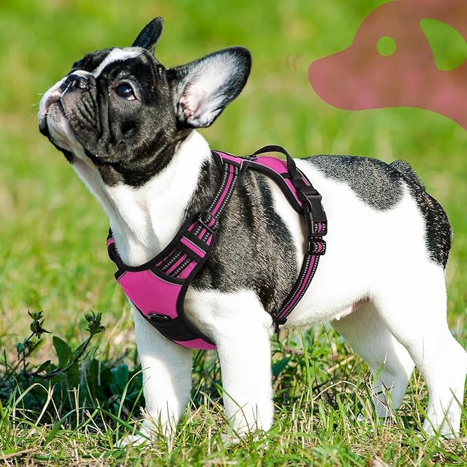 Eagloo Dog Harness Small Sized Dog, No Pull Service Vest with Reflective Strips and Control Handle, Adjustable and Comfortable for Walking, No Choke Pet Harness with 2 Metal Rings, Rose Red, S