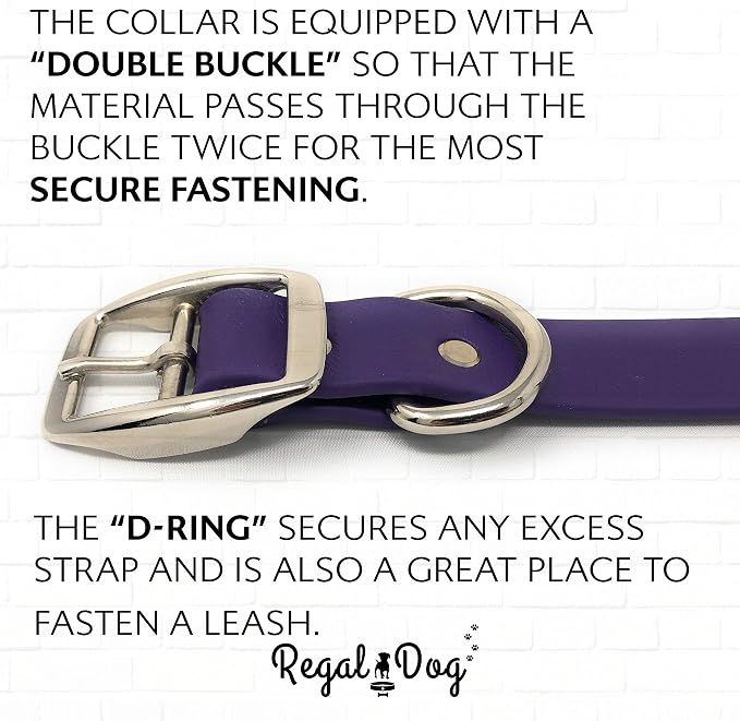 Regal Dog Products Large Purple Waterproof Dog Collar and Leash Set | Heavy Duty Double Buckle & D Ring - 5'ft Leash | Adjustable Biothane Dog Collar | Chew Resistant Waterproof Collar for Dogs