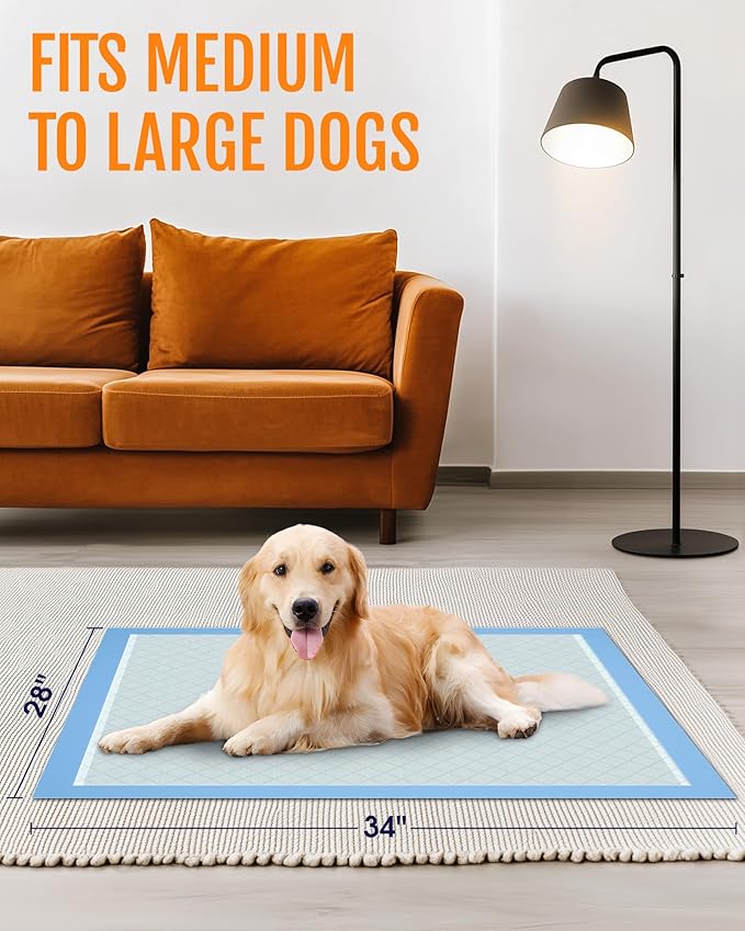 Powools Puppy Pads - 80 Packs, 34"×28" Ultra-Large Puppy Pads, Tear-ResistantPee Pads for Dogs, 6-Layer Ultra-Absorbent & Quick-Dry Black Training Pads