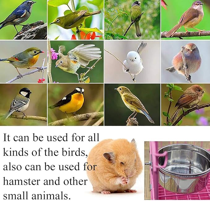 PINVNBY Bird Feeding Dish Cups,5.5x2.0 Inches Parrot Stainless Steel Food Water Dish Perch Stand Platform Paw Grinding Toy Feeder Cage Bowl with Clamp Holder for Budgies Parakeet Macaw(5 Pack L)