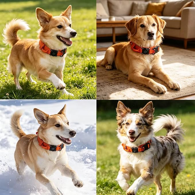 Upgraded AirTag Dog Collar,Waterproof Tactical Dog Collar with AirTag Holder, Control Handle and Metal Buckle,Heavy Duty Dog Collars for Large Dogs(Orange,XXL