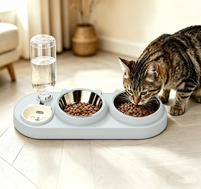 Marchul 3 in 1 Cat Bowl, Cat Food and Water Bowl Set with Water Dispenser and Stainless Steel Bowls, 15° Tilted Pet Raised Three Bowls for Indoor Cats, Small or Medium Sized Dogs
