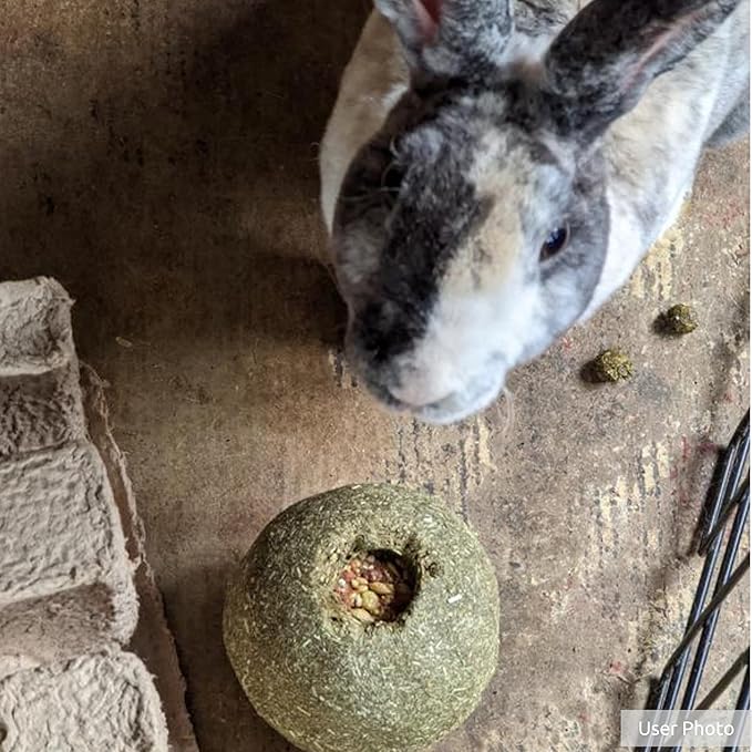 Kaytee Timothy Roll 'n' Toss Toy and Treat for Pet Rabbits, Guinea Pigs, and Chinchillas