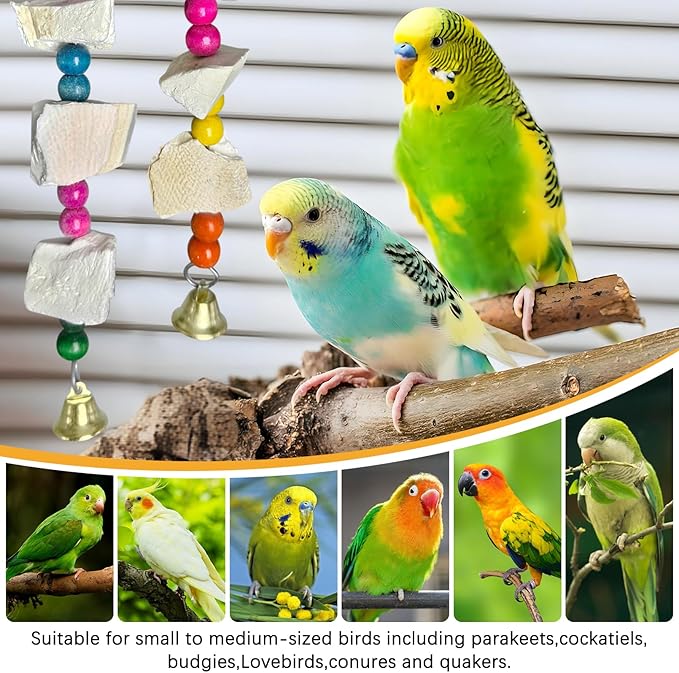 Hamiledyi 2 Pack Bird Toys with Five Cuttlebone - Natural Calcium Chew Toy for Beak Grinding, Hanging Wooden Cage Accessories for Parakeets, Budgies, Cockatiels, Lovebirds(Style A)