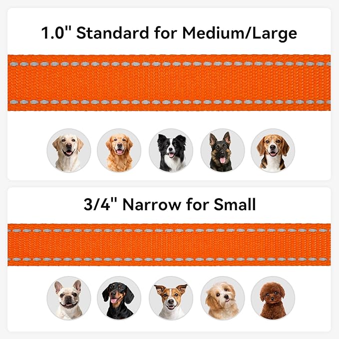 Joytale Dog Leash, 6 FT Double-Sided Reflective, Padded Handle Nylon Heavy Duty Leashes for Small Dogs Walking, Orange