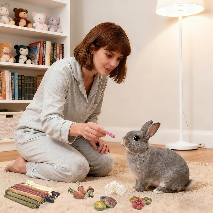 ERKOON 42PCS Rabbit Chew Toys, Natural Timothy Grass Cakes Guinea Pig Toys, Small Animal Teeth Grinding Treats for Bunny Hamster Chinchilla, Safe Dental Care Snacks