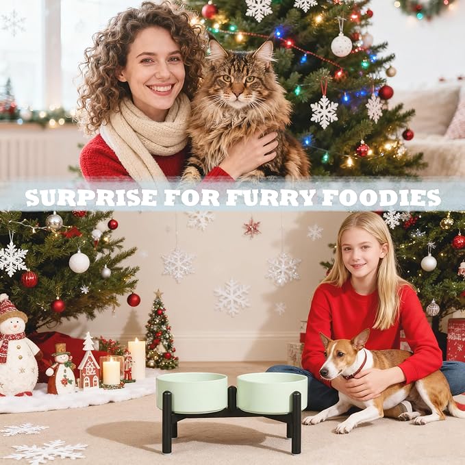 Ceramic Elevated Dog Bowl Set - Dog Feeder Station with Cute-Style Double Bowls for Small and Medium Size Breed - Non-Slip Raised Dish for Food and Water Feeding- 6 Inch - 3.5 Cups / 20 fl oz - Blue