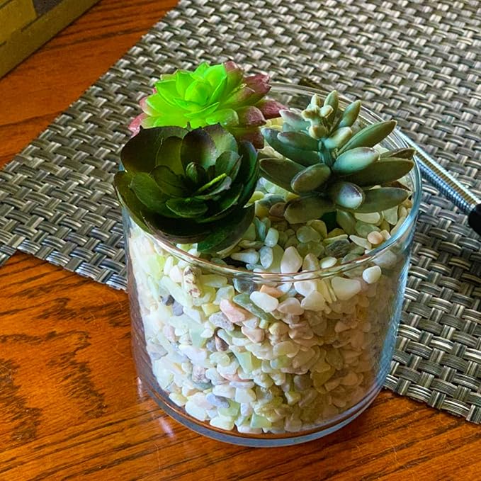 3lb Jade Bean Pebbles,1/4 Inch Cactus Bonsai DIY Rocks, Natural Succulent Rock and River Rocks Decorative for Aquariums, Vases, Terrarium, Outdoor Gardening, Top Dressing for Potted Plants