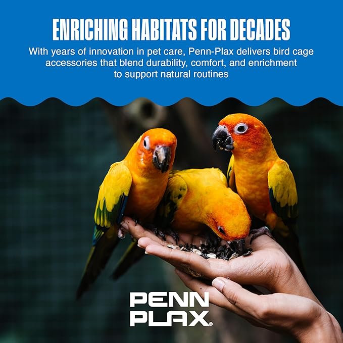 Penn-Plax Bird-Life Cement Trimmer-Perch, Naturally Trims Nails & Beak - Easy-Mounting Bird Perch Stand for Cages - Great for Parrots, Cockatoos, Macaws, Medium & Large Birds - Purple, 10 Inch