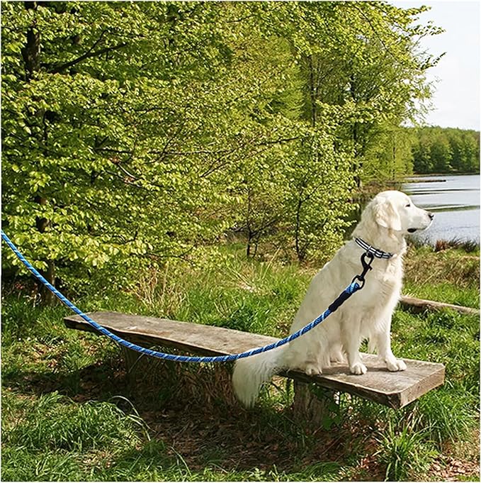 MayPaw Heavy Duty Rope Dog Leash, 3/6/8/10/12/15/20/30 FT Long Dog Lead Nylon Pet Leash, Soft Padded Handle Thick Lead Training Leashes for Large Medium Dogs (20ft * 1/2", Blue Black)