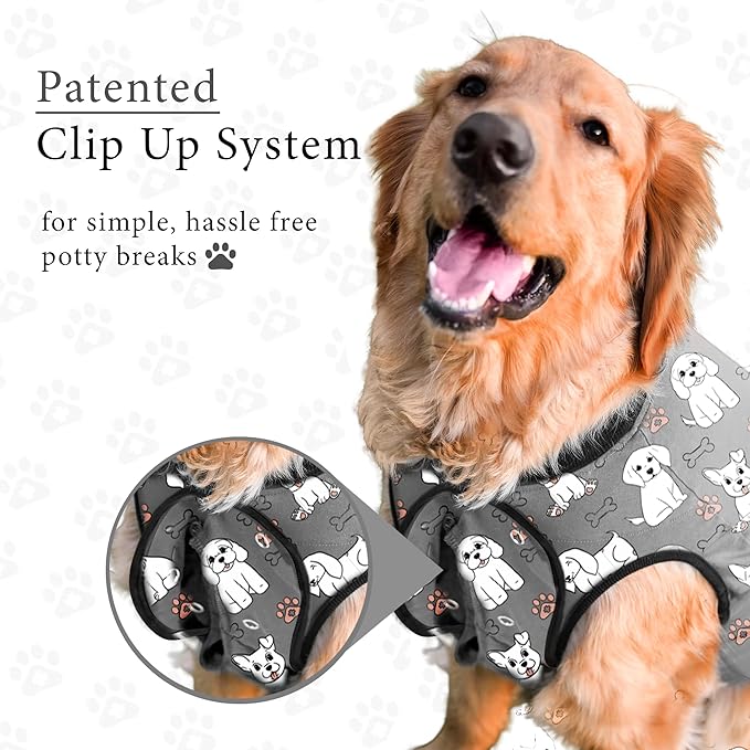 BellyGuard Dog Surgery Recovery Suit, Dog Onesie for Post-Op Care, Recovery Apparel for Female and Male, Surgical Body Cover for Canine Healing Support