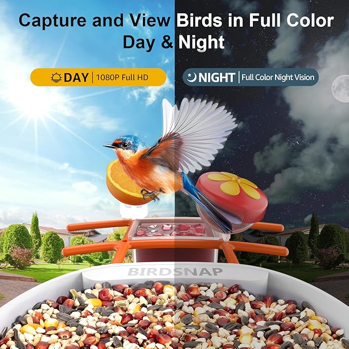 birdsnapÂŽ PAV-Bird Feeder with Camera,2K HD with 64GB Card, AI Identify Smart Bird House Cam Solar Panel,Live Stream,Motion Detection,Auto Record Video for Backyard Outdoors,Ideal Gift for Bird Lover