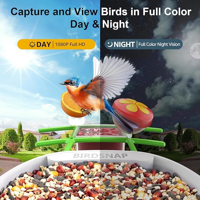 birdsnapÂŽ PAV-Bird Feeder with Camera,2K HD with 64GB Card, AI Identify Smart Bird House Cam Solar Panel,Live Stream,Motion Detection,Auto Record Video for Backyard Outdoors,Ideal Gift for Bird Lover
