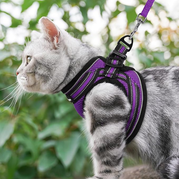 rabbitgoo Cat Harness and Leash Set for Walking Escape Proof, Adjustable Soft Kittens Vest with Reflective Strip for Cats, Comfortable Outdoor Vest, Purple, S