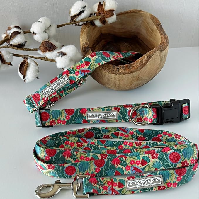Lucky Love Dog - Adjustable Dog Collar with Easy Click Buckle for Large Ones, Durable, & Comfortable for Male & Female Dogs, Pet Collar for Puppies & Adult Dogs - Ginny, Large