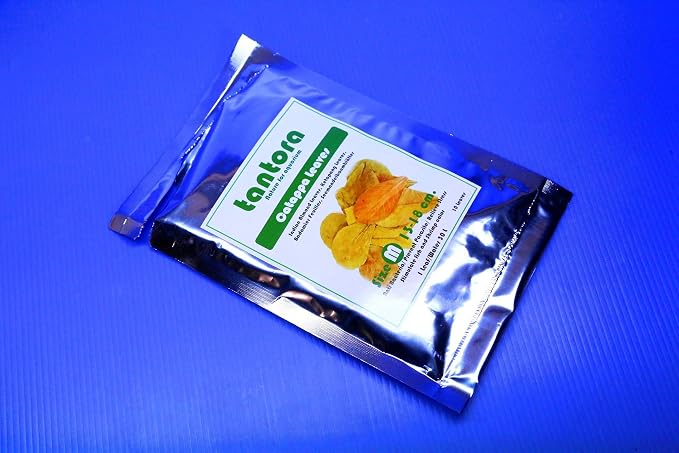 CORISRX BEST OF YOUR LIFESTYLE Tantora Catappa Leaves 4~7" 10 Pcs. Aquarium Indian Almond Leaf for Betta and Shrimp Fish Tank,. Excellent Water Conditioner Leaves for Breeding & Health