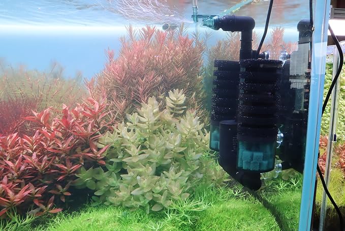 Aquarium Sponge Filter Bubbler with Ultra Quiet Water Pump and Ceramic Balls for Fish Shrimp Breeding Tank (Filter S(6-30 Gallon))