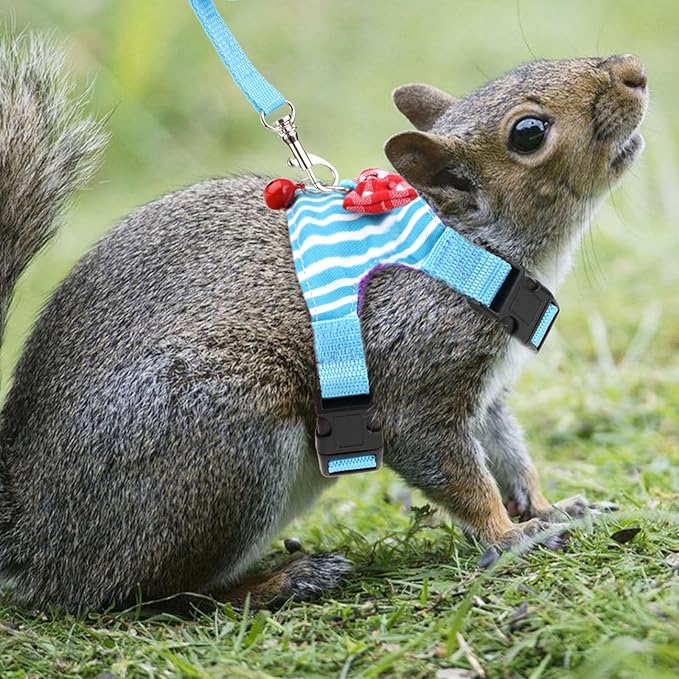 Wontee Small Pet Harness Vest and Leash Set with Bowknot and Bell Decor for Gerbil Guinea Pig Squirrel Kitten Outdoor Walking (S, Blue Stripe)