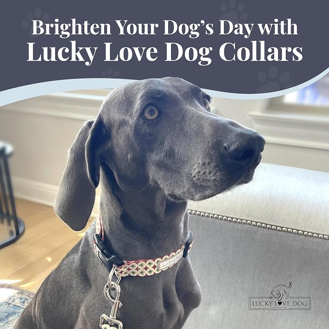 Lucky Love Dog - Easy Click Buckle Dog Collar with Leash Set Combo, Durable & Comfortable for Male & Female Dogs, Pet Collar for Large Dogs, Secure Fit - Pongo Combo, Large