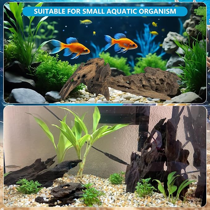 10 PCS Natural Honeycomb Wood 2-4", Porous Aquarium Driftwood | Cholla Wood Shrimp Shelter Breeding Cave, Shrimp Dragon Wood for Fish Tank, Aquascaping, Reptile, Terrarium Decor