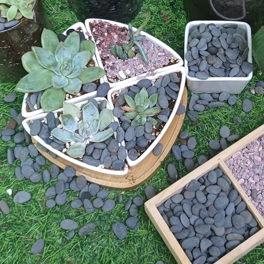 7lb Natural River Rocks Pebbles for Plants & Succulents, Decorative Outdoor Landscaping Garden Rocks, Mexican Beach Pebbles for Aquarium & Vase Decor