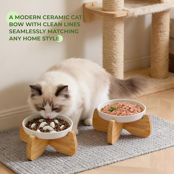 Raised Ceramic Cat Bowls 6.3" Flat & Slow Feeder Bowl (One of Each) | Anti-Gulping & Keep Fit, Water Bowl & Food Bowl, Dishwasher Safe, Neck Protective, Anti Whisker Fatigue