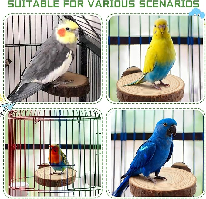 6 PCS Natural Wood Bird Perches Stand for Cage,Bird Perches for Bird Cages,Bird Cage Perch with Bolt and Wing Nut,Parrot Perch for Budgies Cockatiels Parakeets Conures