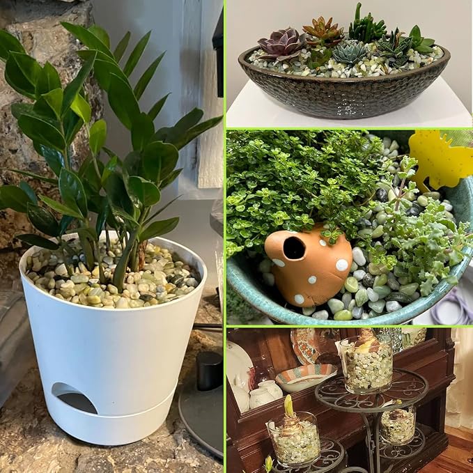 45lb Jade Bean Stone,1/4 Inch Bonsai DIY Rocks, Natural Succulent Rock and River Rocks Decorative for Aquariums, Vases, Terrarium, Outdoor Gardening, Top Dressing for Potted Plants