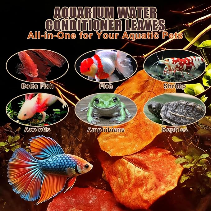 Indian Almond Leaves for Betta Fish,20Pcs Catappa,40Pcs Oak Leaves & 60Pcs Longan,Aquarium Water Conditioner Leaf,pH Balancing Water Conditioner Leaf for Betta Fish,Shrimp,Frogs,Axolotl Tanks