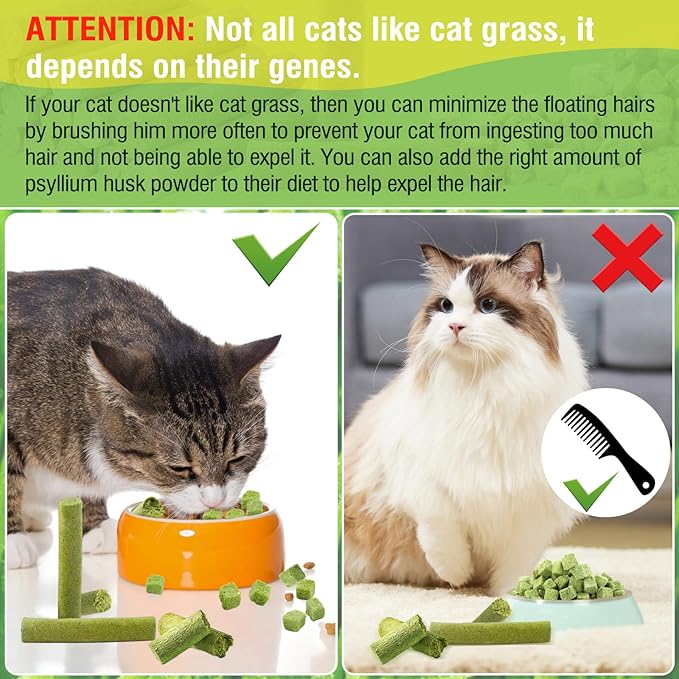 100g Cat Grass Teething Stick, Freezed Drying Cat Grass Sticks Snacks for Cats, Edible Cats Treats for Teeth Cleaning and Hairball Removal