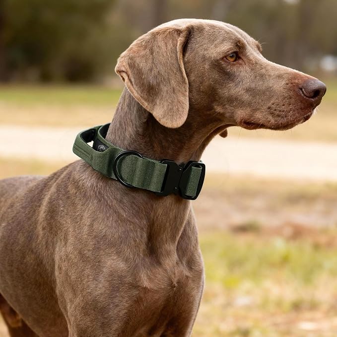 Tactical Thick Dog Collar, Adjustable Training Nylon Dog Collar, Heavy Duty Metal Buckle & Control Handle for Small Medium Large Dogs (M, Green)