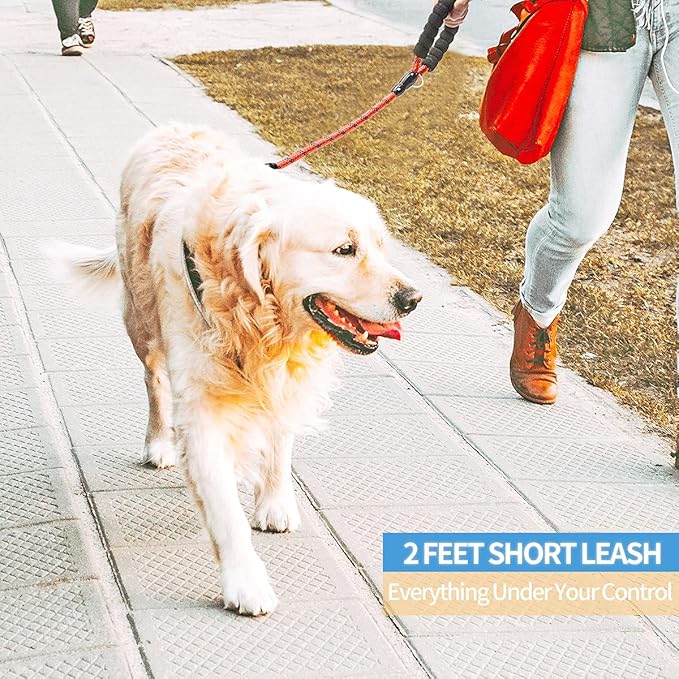 BAAPET 2/4/5/6 FT Dog Leash with Comfortable Padded Handle and Highly Reflective Threads for Small Medium and Large Dogs (2FT-1/2'', Red)