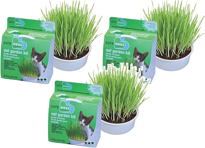 Van Ness Cat Oat Garden Kit (Set of 3)