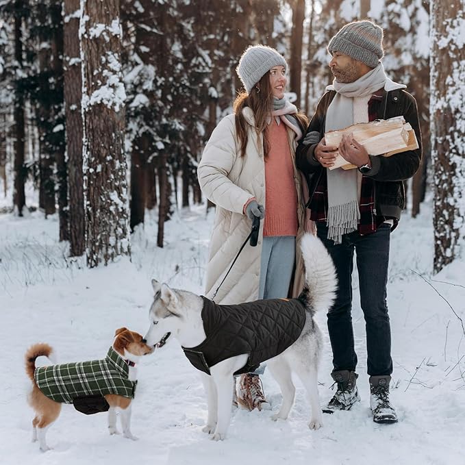 Kuoser Waterproof Dog Coat, Reversible Dog Jacket for Small Dogs, Adjustable Durable Doggie Winter Coat Warm Cozy Puppy Cold Weather Apparel from Small to Large Breed, Green S