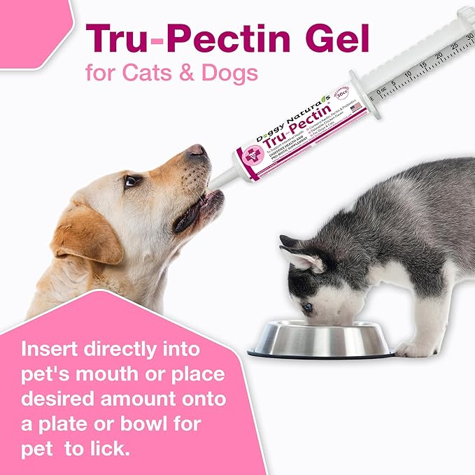 Tru-Pectin Anti-Diarrheal Oral Paste for Dogs & Cats – Chicken Liver Flavor –Helps Reduce Occasional Loose Stool & Diarrhea, Balance Gut pH, Support Normal Digestion & Gut Flora -Made in USA- 60cc