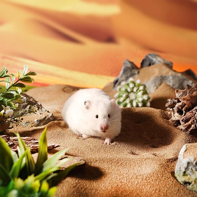 BUCATSTATE Hamster Bath Sand with Pour Spout, 6.6LB Desert Bath Sand | No-Dust Potty Litter Calcium-Free Sand for Hamster Chinchillas Gerbil Mice Degu or Other Small Pets (Fine Sand)