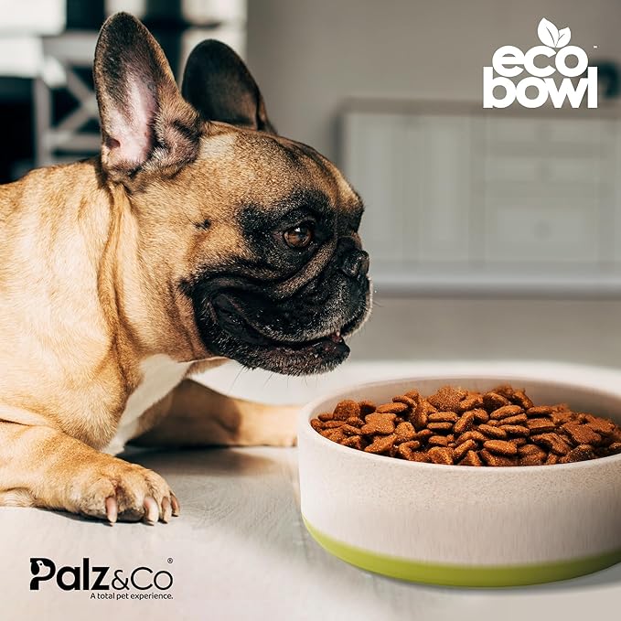 Palz&Co EcoBowl with Lid for Dogs & Cats, 28 oz Green - Natural Bamboo Pet Bowl with Non-Slip Base, Pet Food and Water Dish, Dishwasher Safe