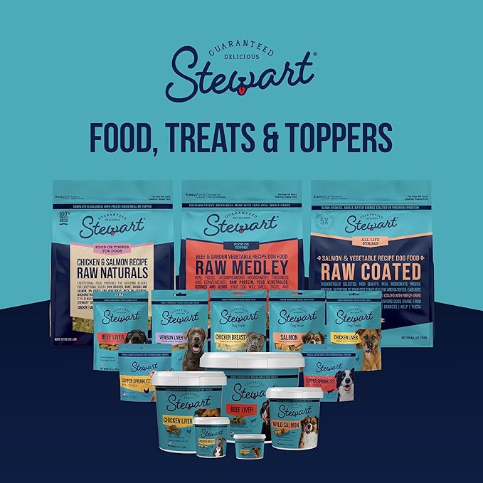 Stewart 100% Wild Salmon Dog Treats, 2.75 oz Pouch, ~55 Pieces, Freeze Dried Raw, Single Ingredient, 65% Protein Training Treats or Meal Topper, Grain Free, Gluten Free