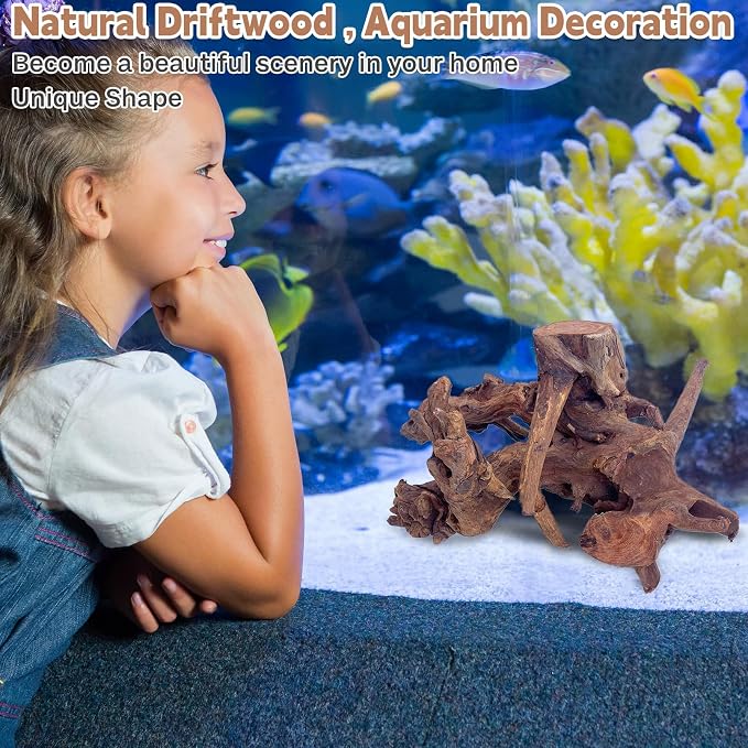 PINVNBY Natural Large Driftwood for Aquarium Fish Tank Decorations, Driftwood for Reptile Tank Bearded Dragon Tank Accessories Terrarium Decor (10 to 14 inches / 2 Pack)