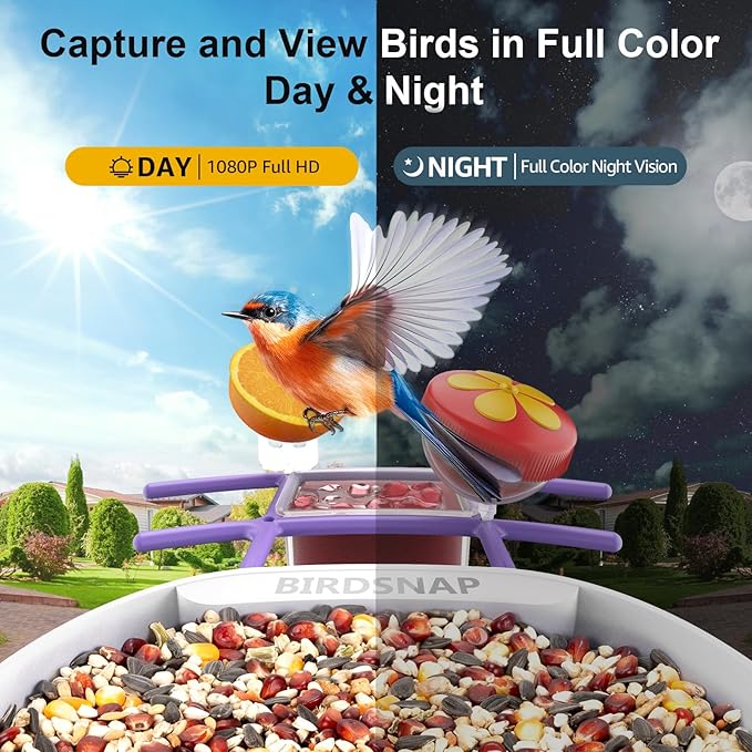 birdsnapÂŽ PAV-Bird Feeder with Camera,2K HD with 64GB Card, AI Identify Smart Bird House Cam Solar Panel,Live Stream,Motion Detection,Auto Record Video for Backyard Outdoors,Ideal Gift for Bird Lover