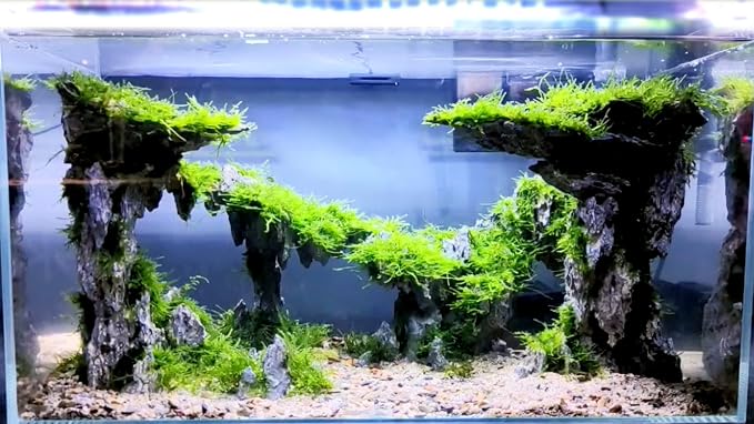 Allcolor Aquarium Rock Decor, 5-Piece Twilight Set for 20-30 Gallon Tanks | Five movable cliff modules create an expansive rimless-style landscape with open swimming space.