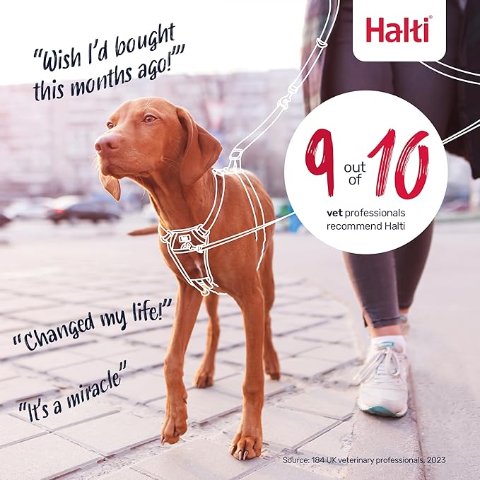 Halti No Pull Harness - Stop Your Dog Pulling on The Leash. Adjustable, Lightweight and Easy to Use. Reflective Dog Training Harness for Medium Dogs (Size M, Deep Walnut)