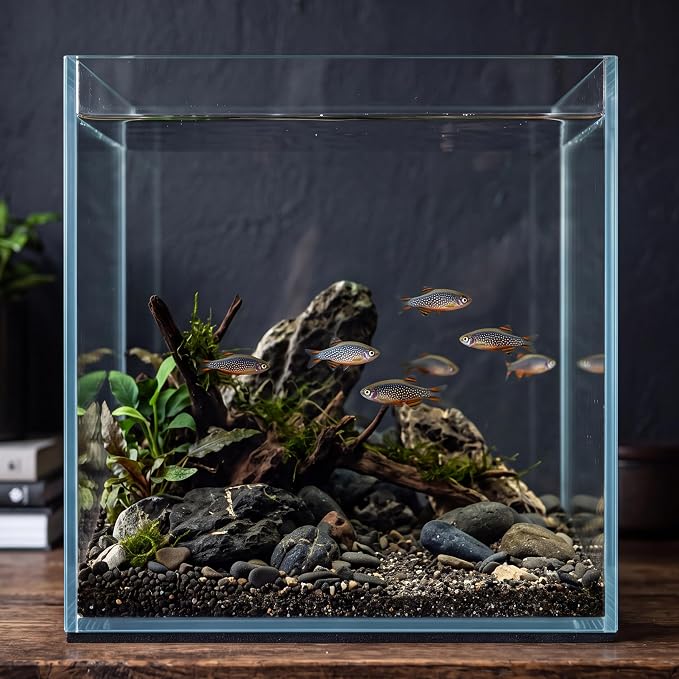 Cirrsondy 3.17 Gallon Glass Fish Tank, Low Maintenance Small Aquarium for Betta Fish, Snails, Shrimp & Aquatic Plants