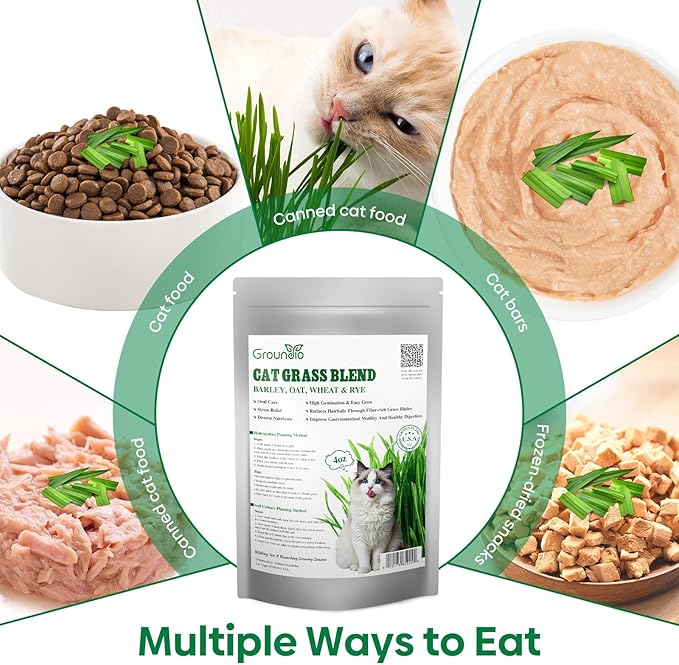 Groundio Cat Grass Seeds, Barley, Oats, Wheat, Rye 4 Varieties, Non-GMO Fast Germinate in 4-7 Days, Sourced from USA for Indoor Cats, 4 Ounce