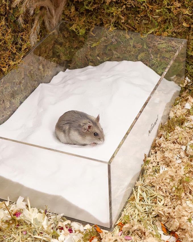 Niteangel Hamster Desert Bath Sand | No-Dust Bath or Potty Litter for Hamster Chinchillas Gerbil Mice Degu or Other Small Pets (White Sand, 6LB/96oz)