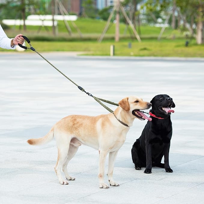 iYoShop Dual Dog Leash - 360° Swivel, No Tangle Walking Leash with Shock Absorbing Bungee for Two Dogs (Medium, 8-35 lbs, Military Green)