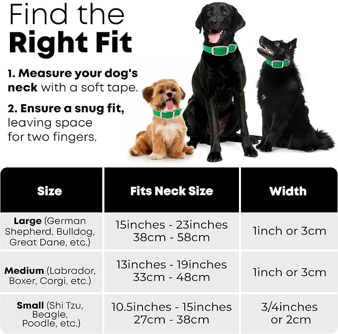 Regal Dog Products Small Light Green Dog Collar with Heavy Duty Double Buckle & D Ring | Vinyl Coated, Custom Fit, Adjustable Biothane Dog Collar Chew Resistant Waterproof Collar for Dogs