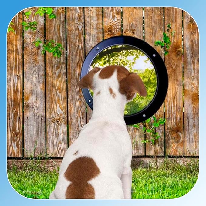 2 Pack Dog Fence Window, Clear Pet Bubble View Dome Door Peek Small Round Window for Doggie/Cat/Horse Outside Playground Garden Diameter 12.44 Inch Deep 4.92 Inch