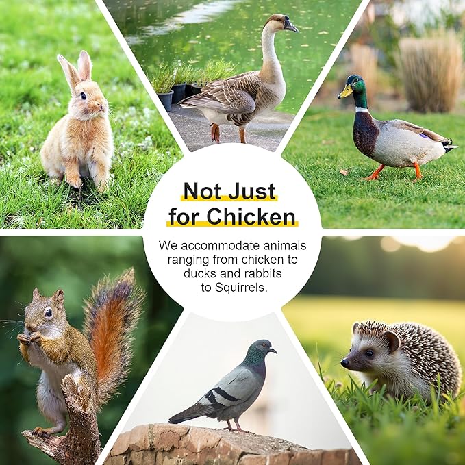Chicken Coop, Wooden Rabbit Hutch Outdoor Indoor Folding Bunny Cage with Handle Portable Chicken Run with Top & Side Opening Doors Small Animal Playpen No Assembly Pet Poultry Cage for Bunny(Wood)